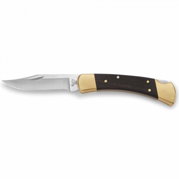 Buck 110 Folding Hunter