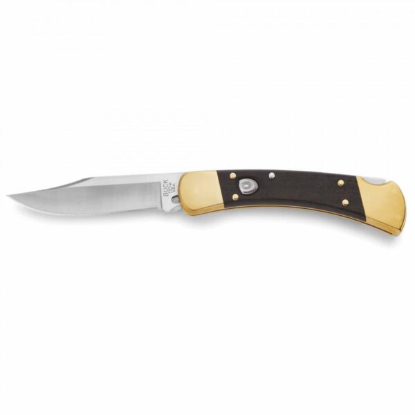 Buck 110 Folding Hunter Auto
