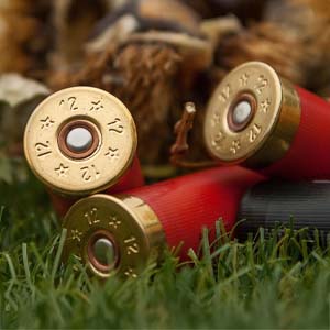 Shotshell Ammunition