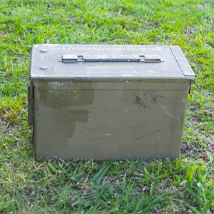 Categories > Shooting > Ammunition | Walt's