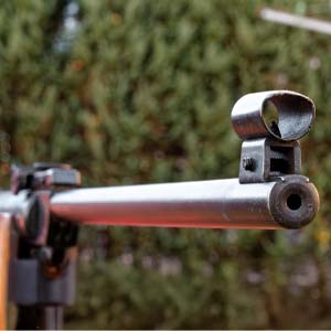 Rimfire Rifles