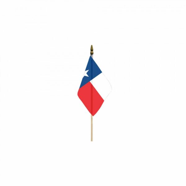 Eagle Emblems Texas Stick Flag Large
