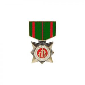 PIN - Vietnam, Civil Actions Medal (1-3/16")