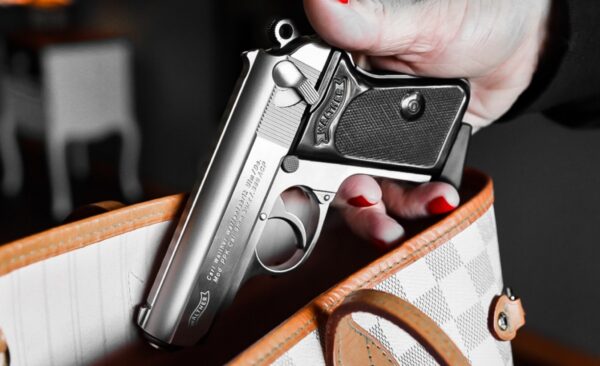 Walther PPK Stainless